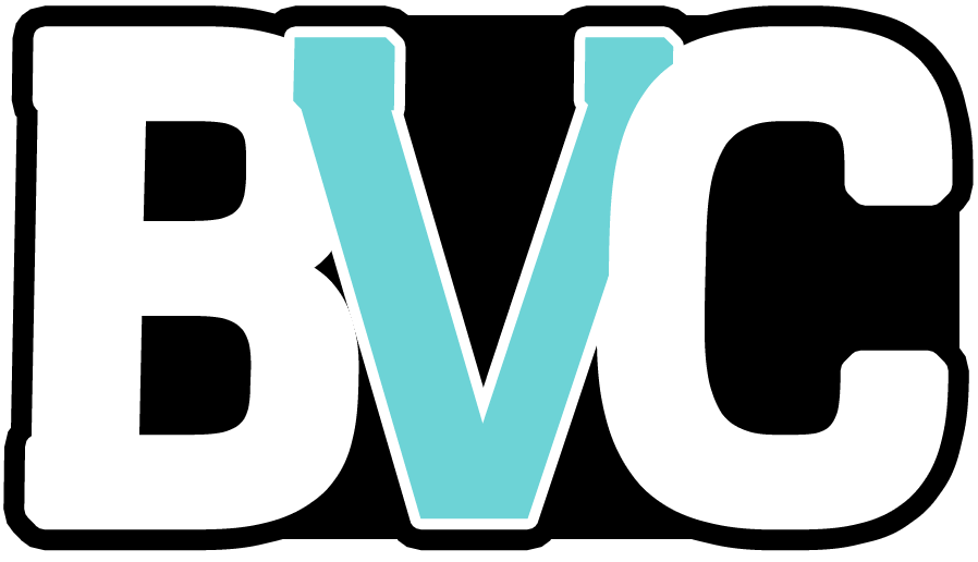 Binder Vault logo